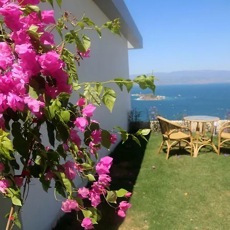 וילה Bodrum Adabuku Luks 2+1 Ozel Plaj Ve Havuzlu